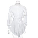 Shirt-Dress-K589-11