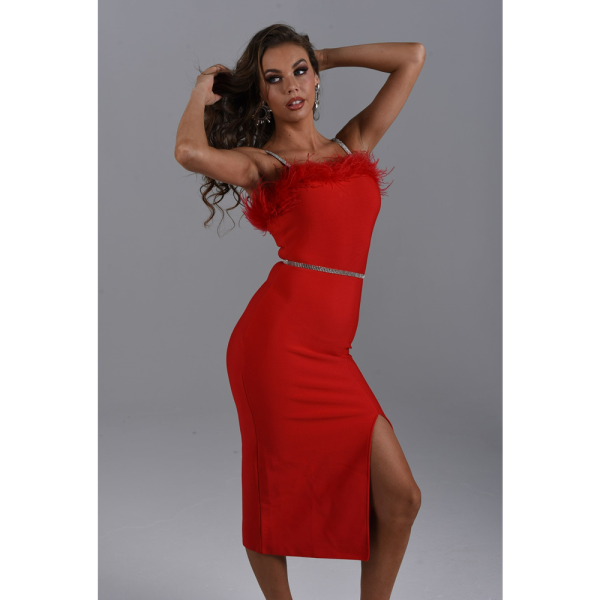 Lillian Plume Bandage Dress B1479 7